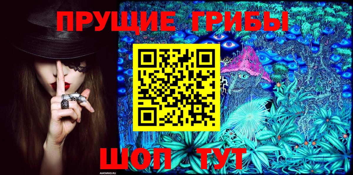 Галлюциногенные грибы Psilocybe Курчатов